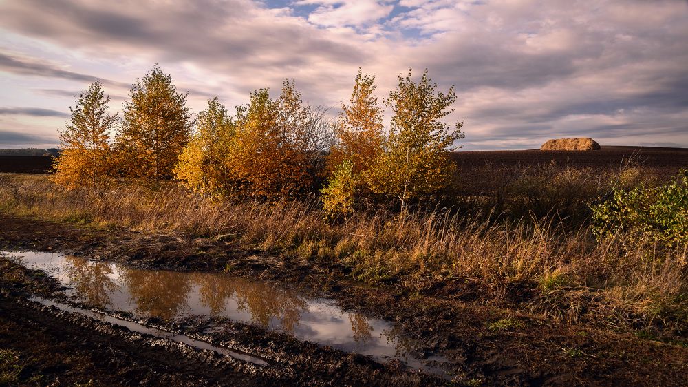 Гляделась осень в "зеркала"...