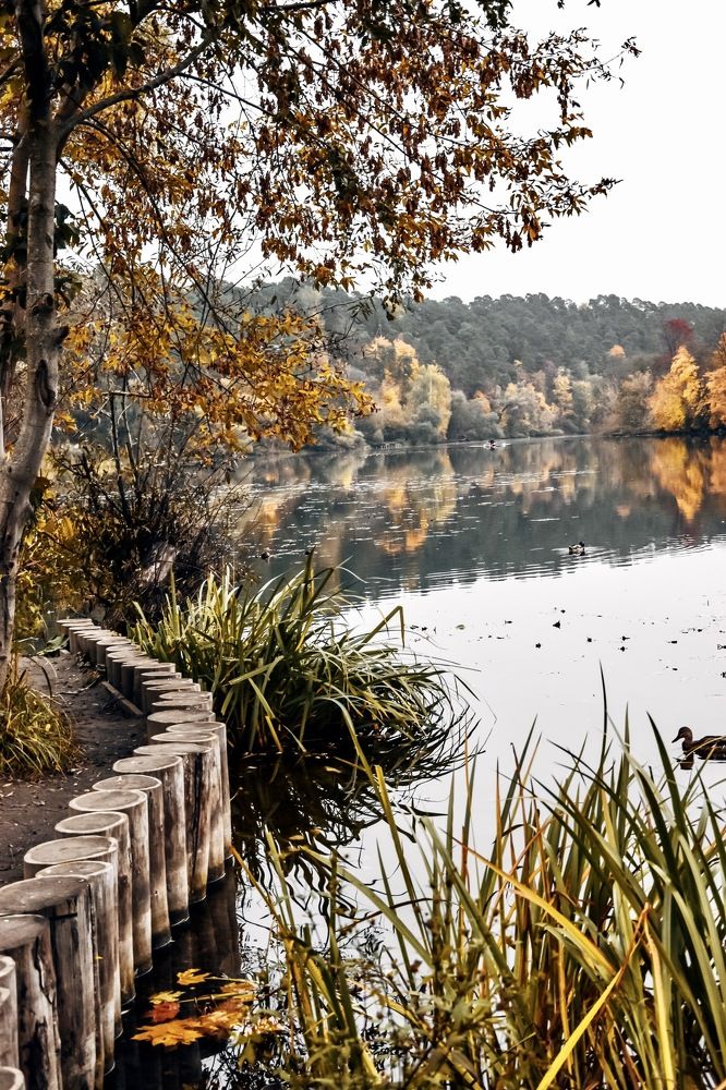 Photograph by Ольга Семина