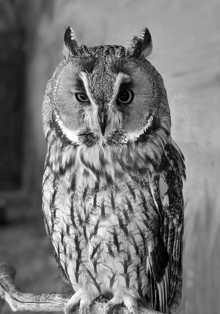 Photograph by Александр Дудников