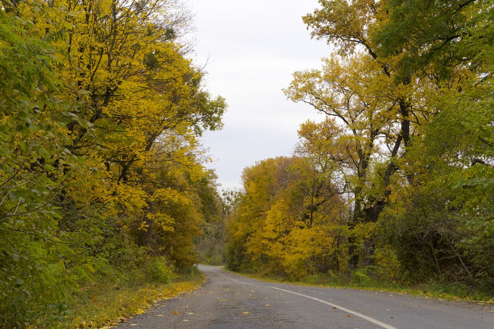 Photograph by Олесь