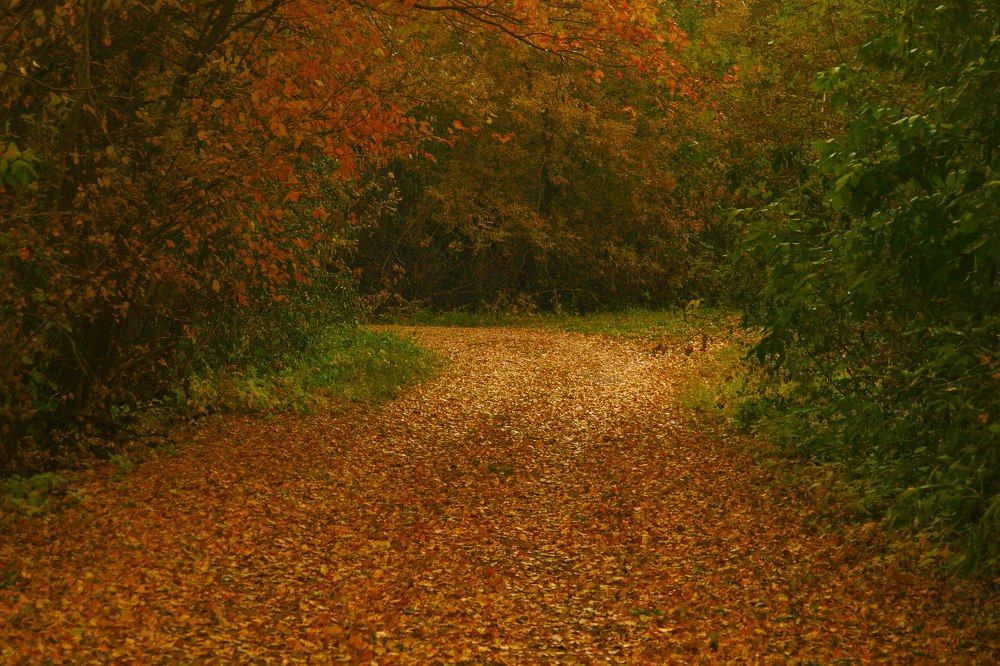 Photograph by Андрей Александрович Молотков
