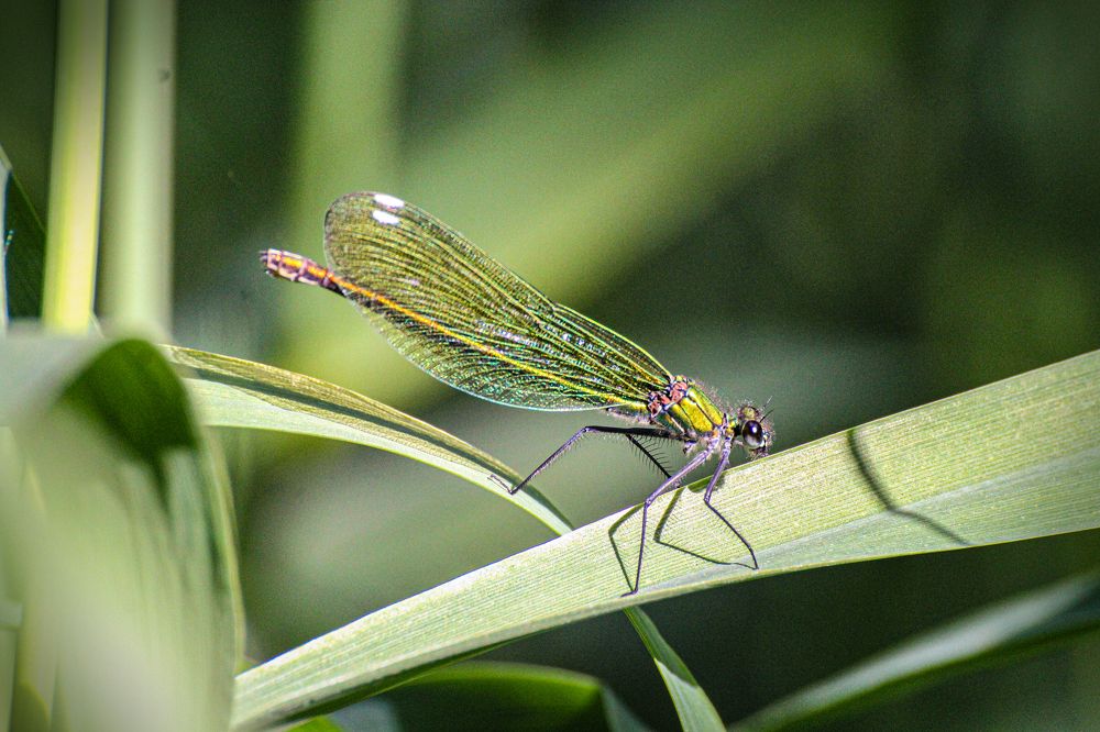 Photograph by Герман