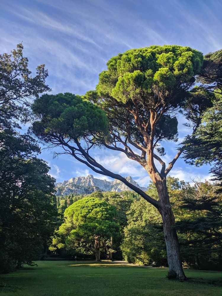 Photograph by Александр Казанцев