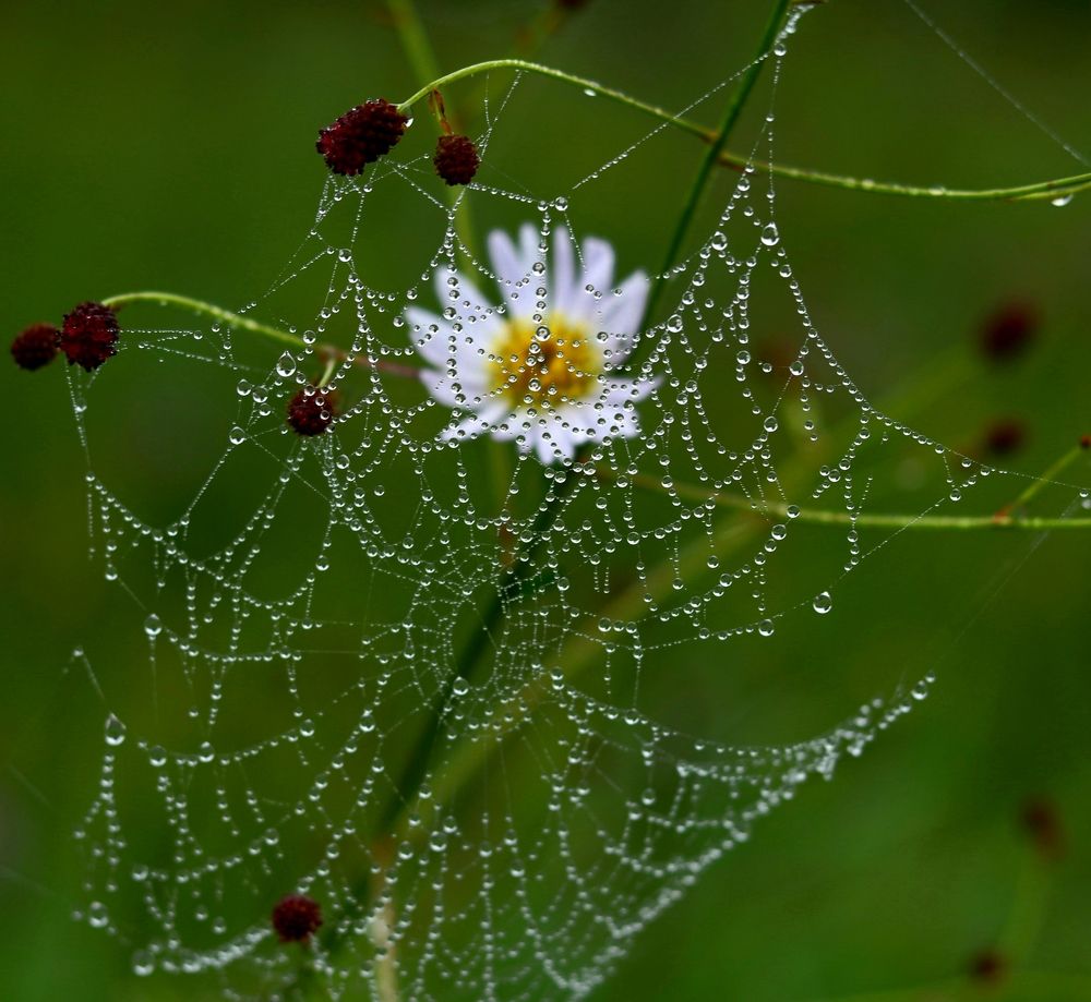 Photograph by Елена Мизина