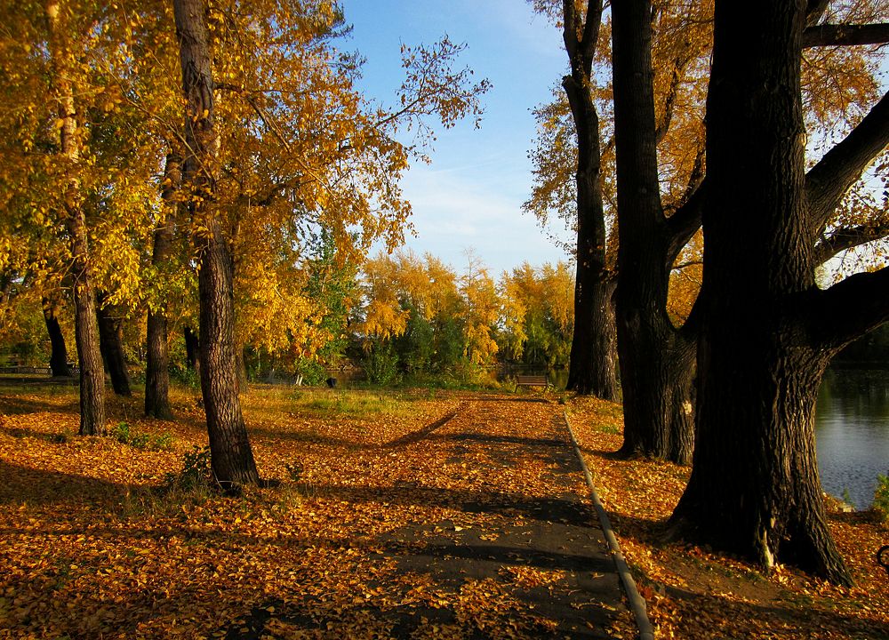 Photograph by Зоя Быкова