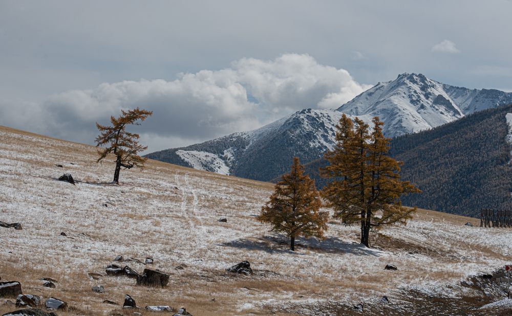 Photograph by Aleksei Kurlov