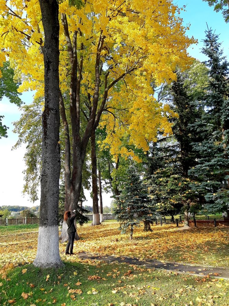 Фотография автора Ирина Лукьянчик