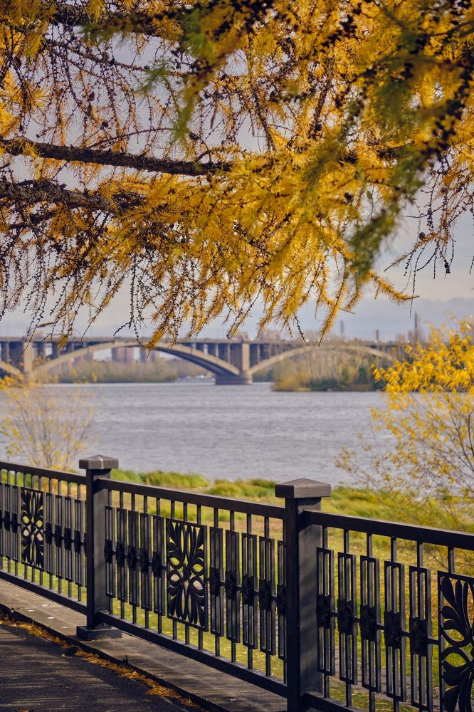 Photograph by Олег Печенегин