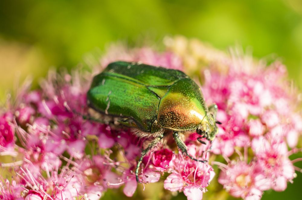 Photograph by Павел Минкевич