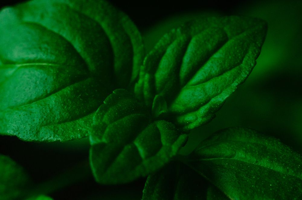 Photograph by Boris Malyshev