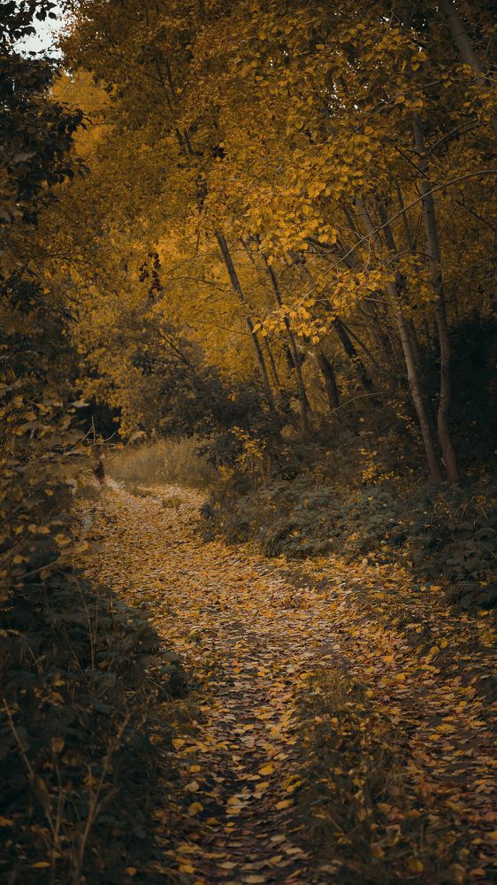 Photograph by Мария Вербицкая