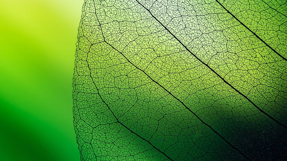 Потерянный в текстурах