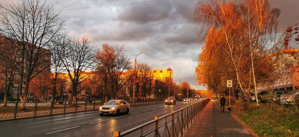 Прогулка с собакой