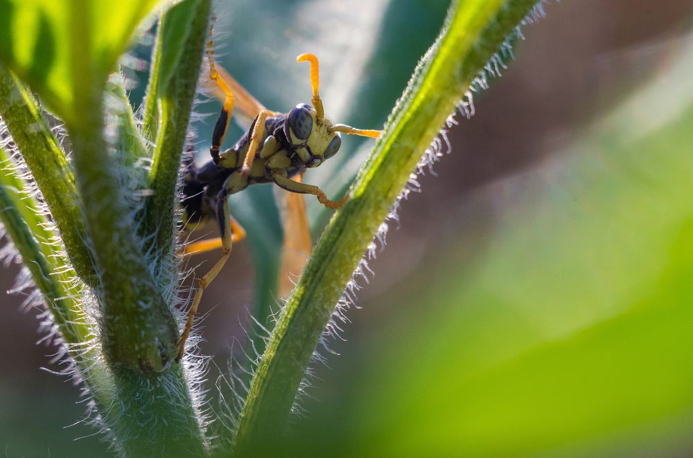 Photograph by Андрей Бурда