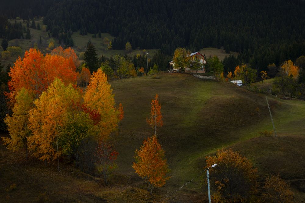 Photograph by Nuket Uluc