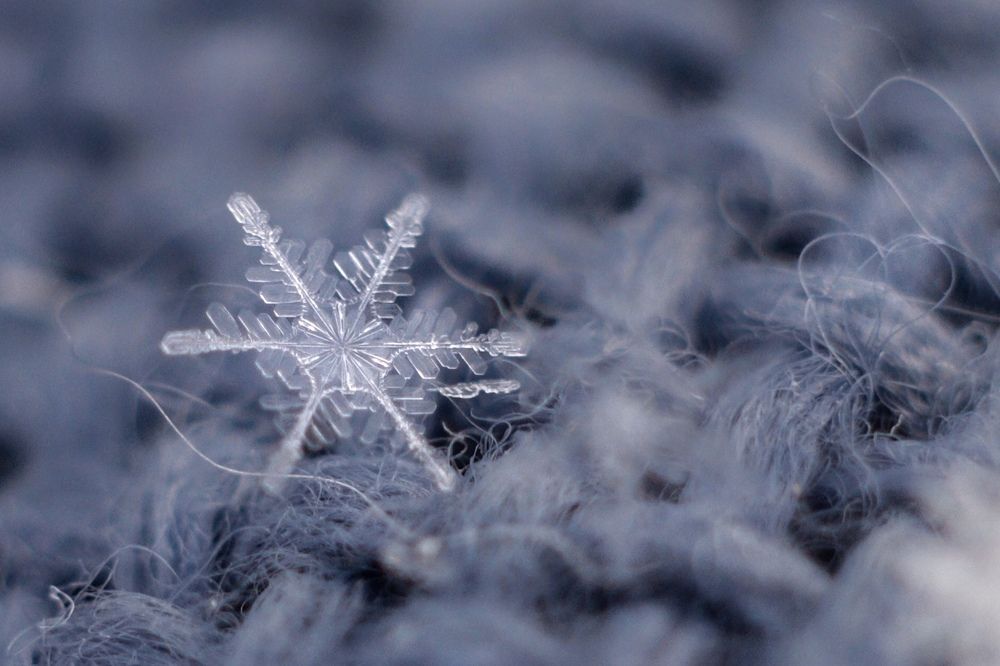 Photograph by Svetlana Esina