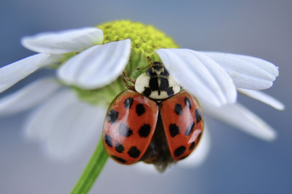 Photograph by Svetlana Esina