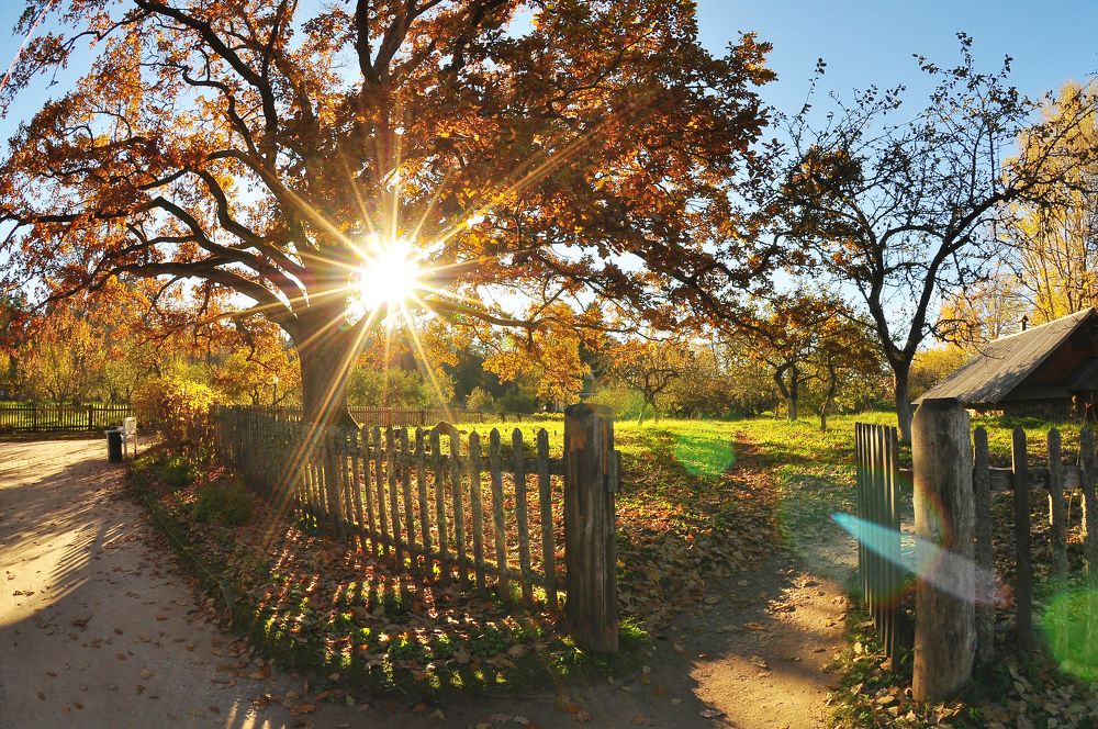 Photograph by Юрий Яковлев