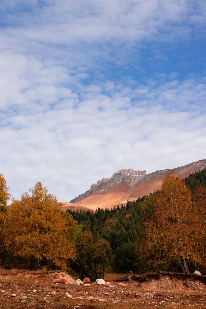 Photograph by Alexandr Tulinov