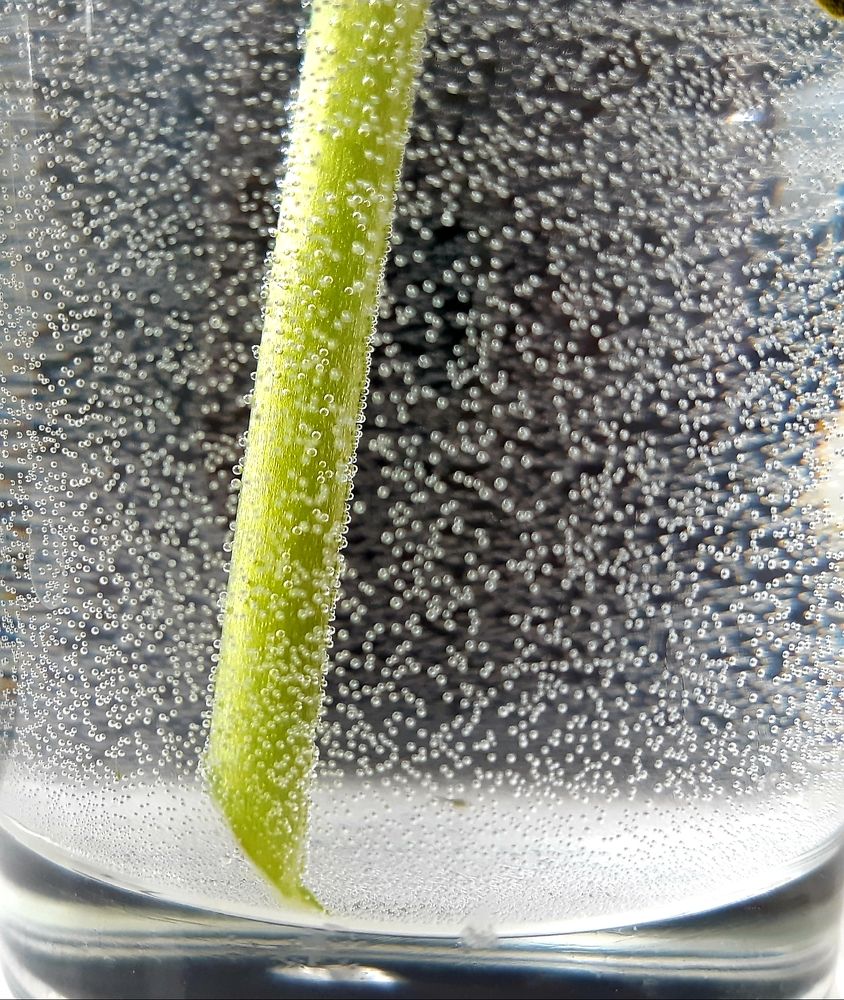 Фотография автора Ирина Лукьянчик