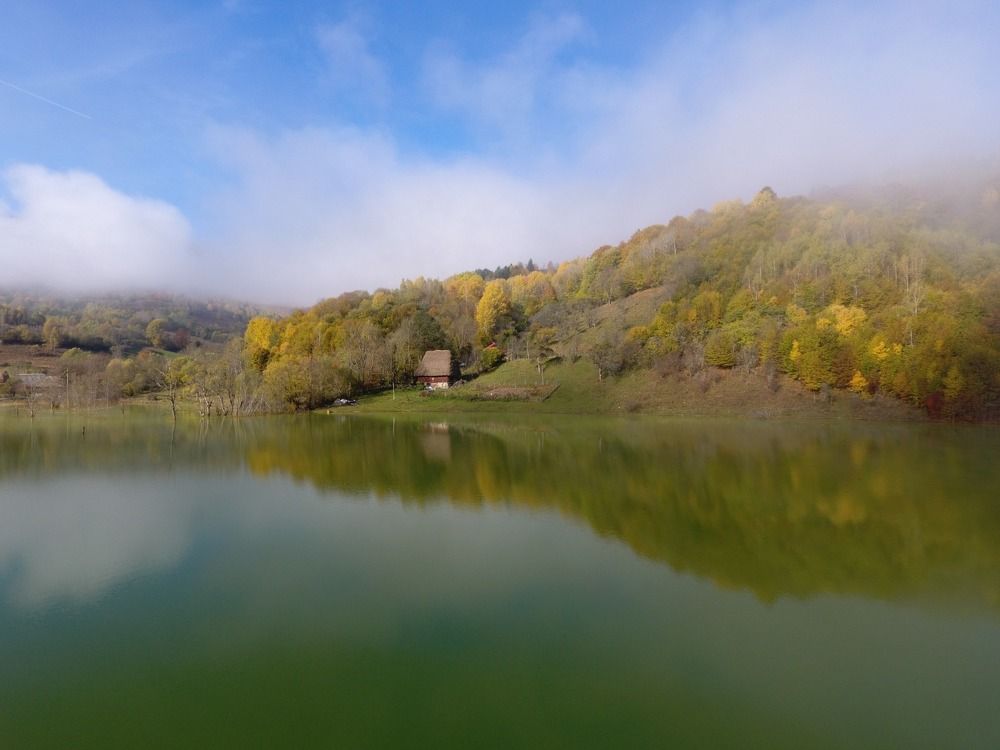 Фотография автора Alexandru Popescu