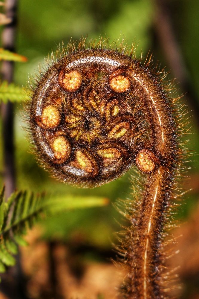 Photograph by Maja Kacprzyk