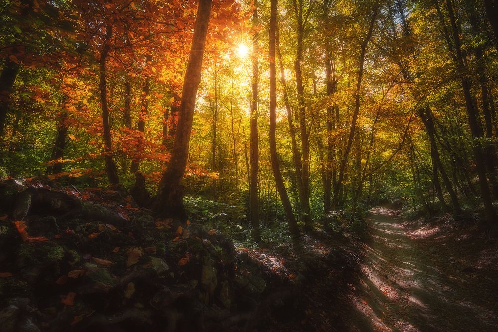 Photograph by Oleg Feofanov