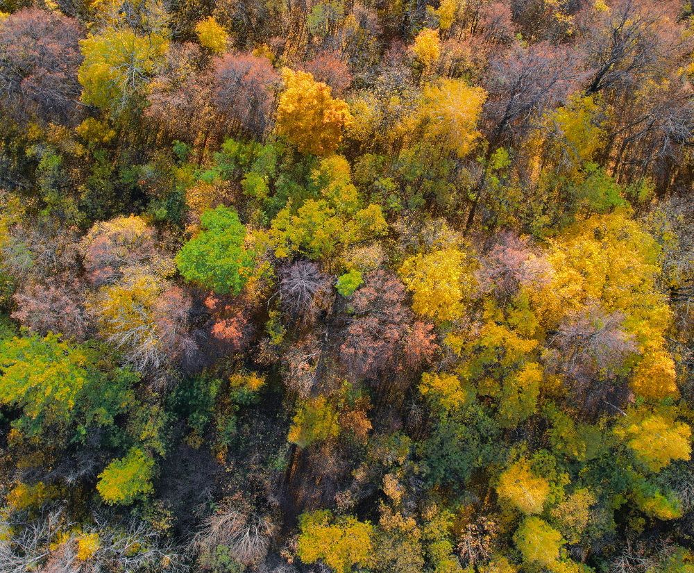 Фотография автора Александр Лукин
