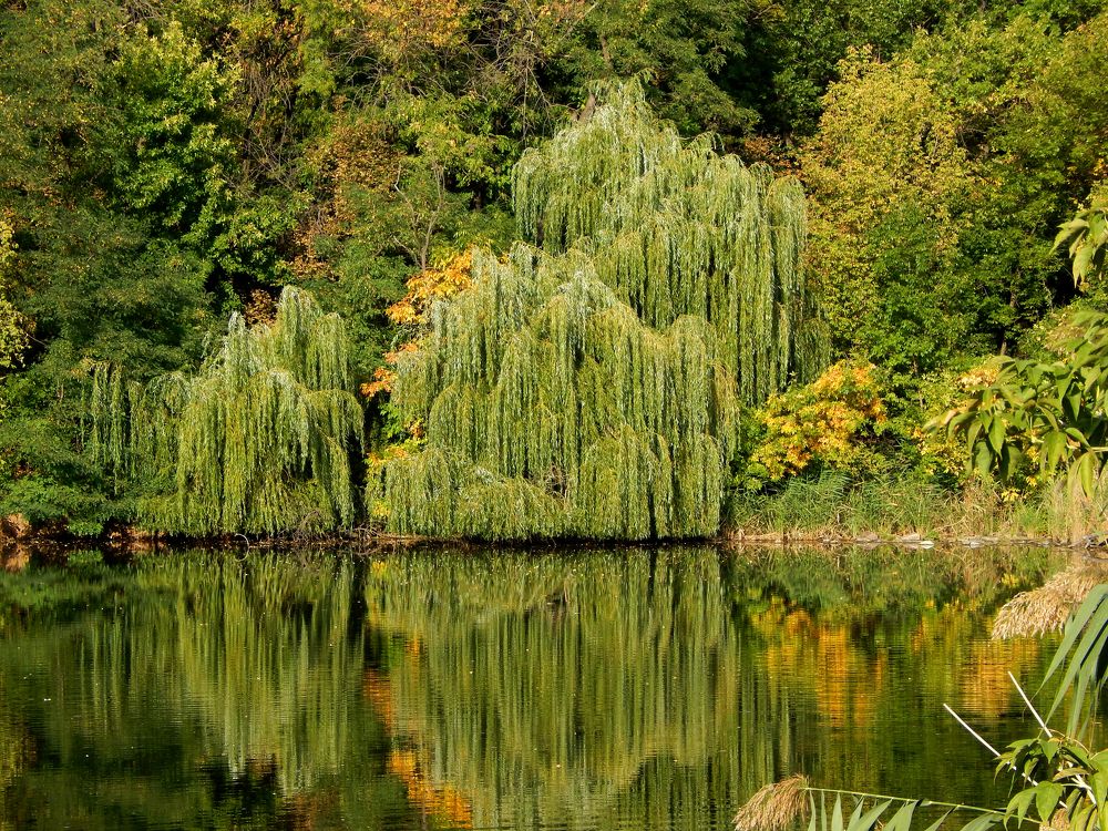 Photograph by Андрей Соколов