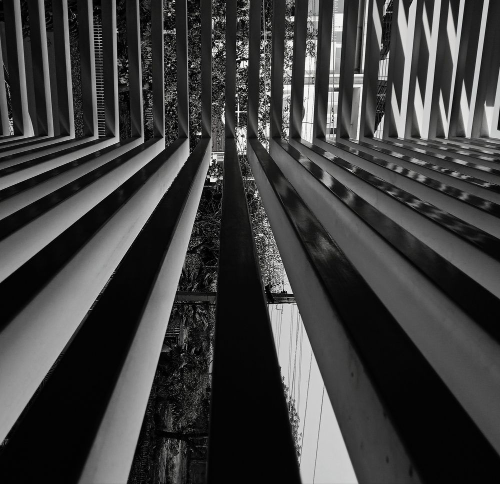 Photograph by Ritu Dinkar