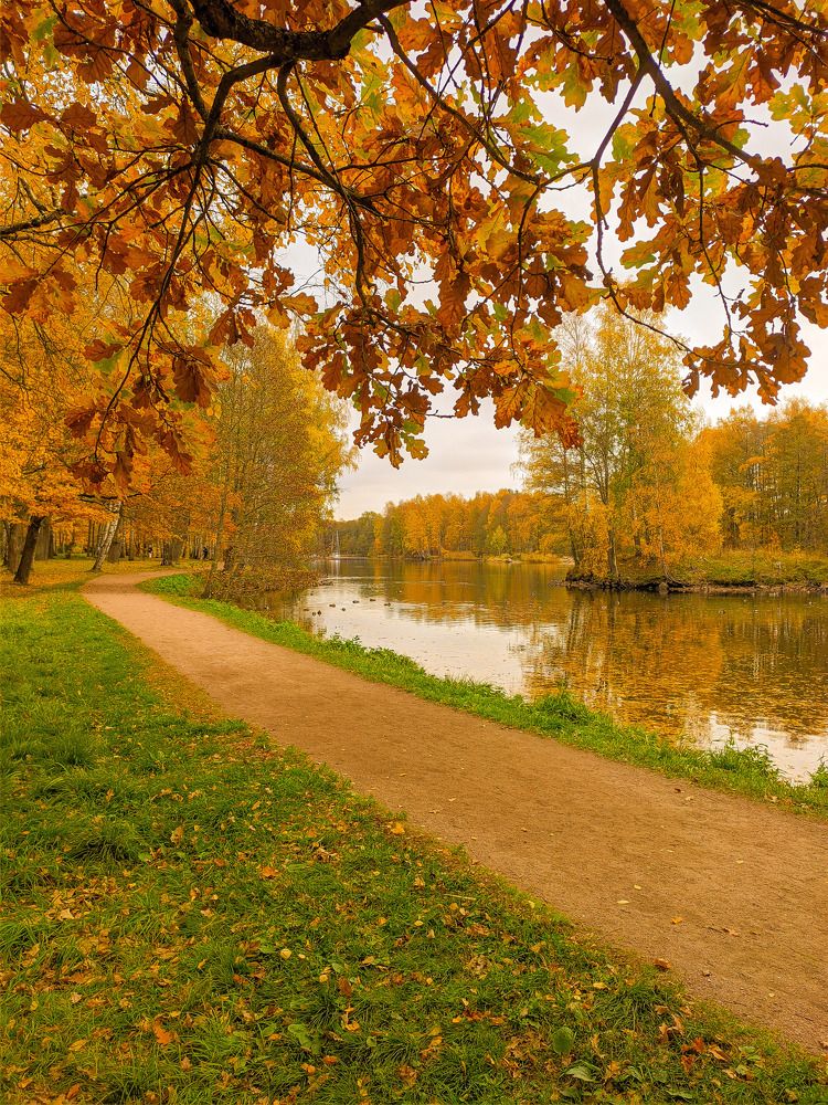 Осенний пейзаж