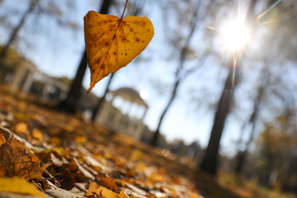 Photograph by Михаил Кинеев