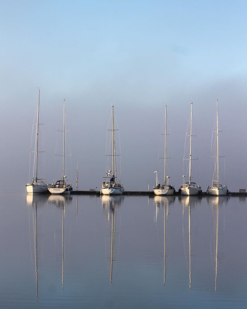 Photograph by Larisa Zadvornaia