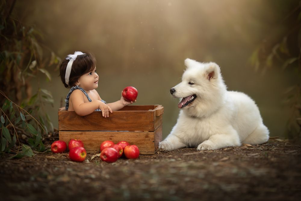 Фотография автора Osher Eden pashinsky