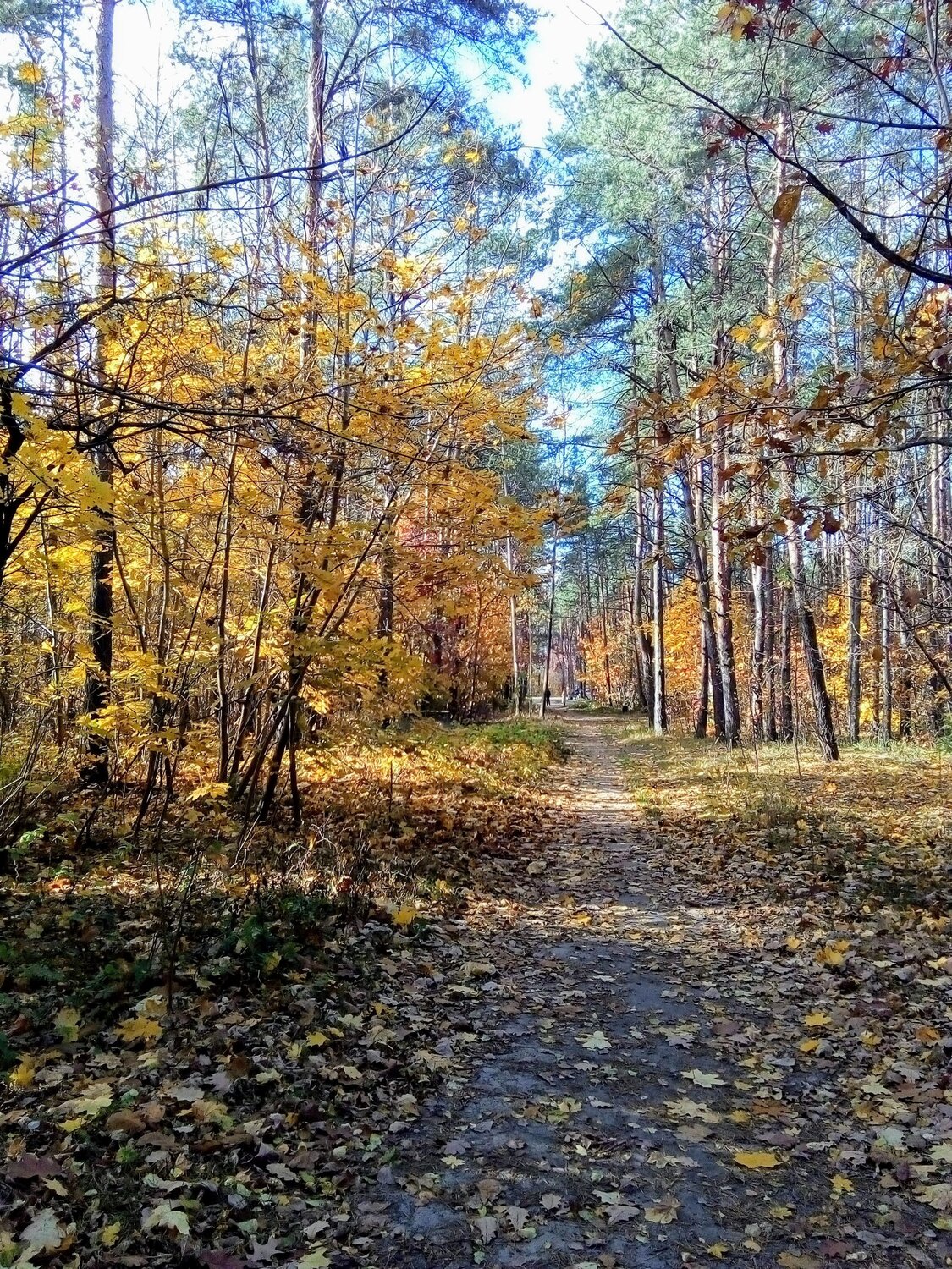 Photo #6636655