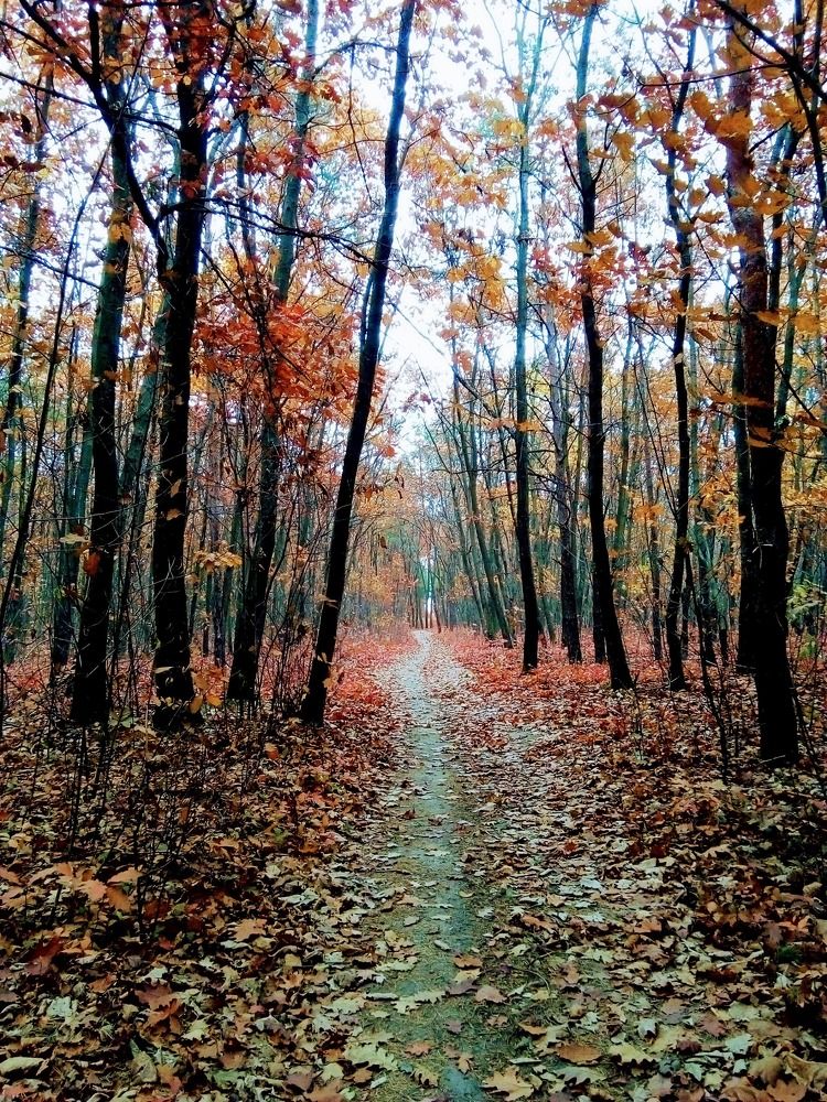 Photo #6636666