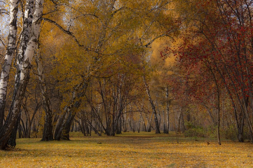 Photograph by Владимир Ануфриенко