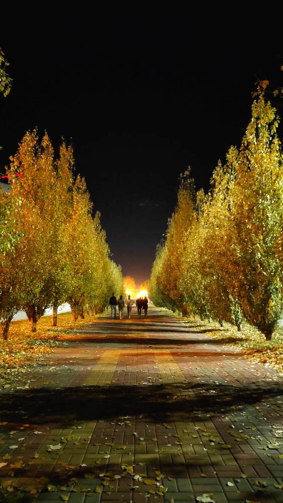 Photograph by Елена