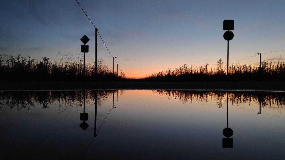 Photograph by Елена