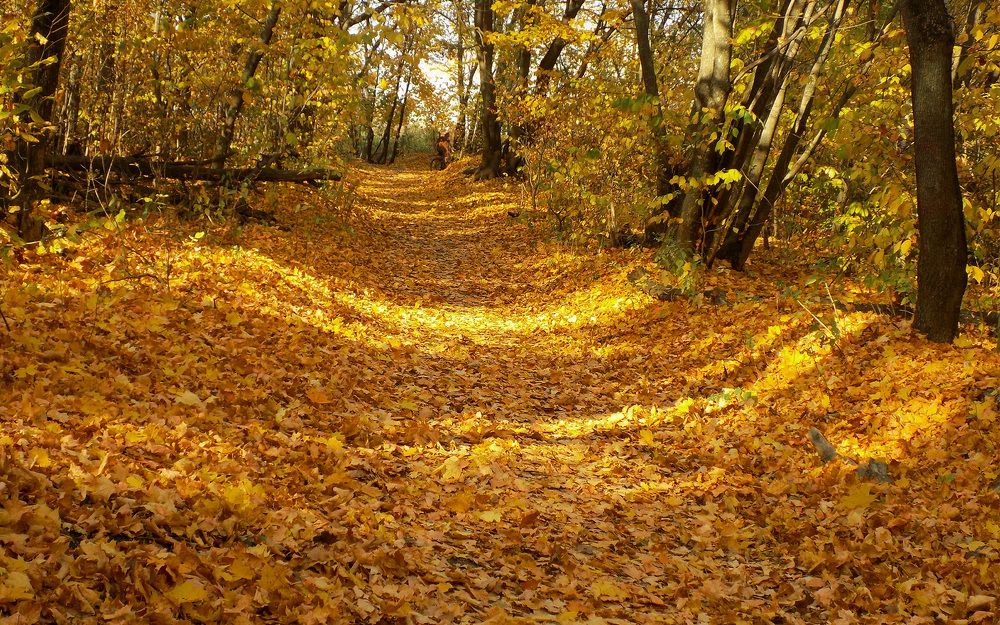 Photograph by Сергей Рудаков