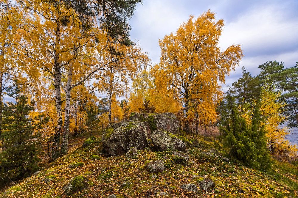 Photograph by Ярослав Лукьянов