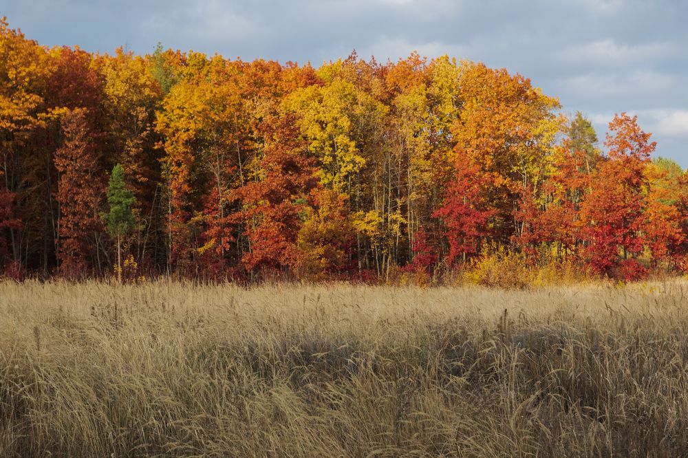 Фотография автора Андрей Серый