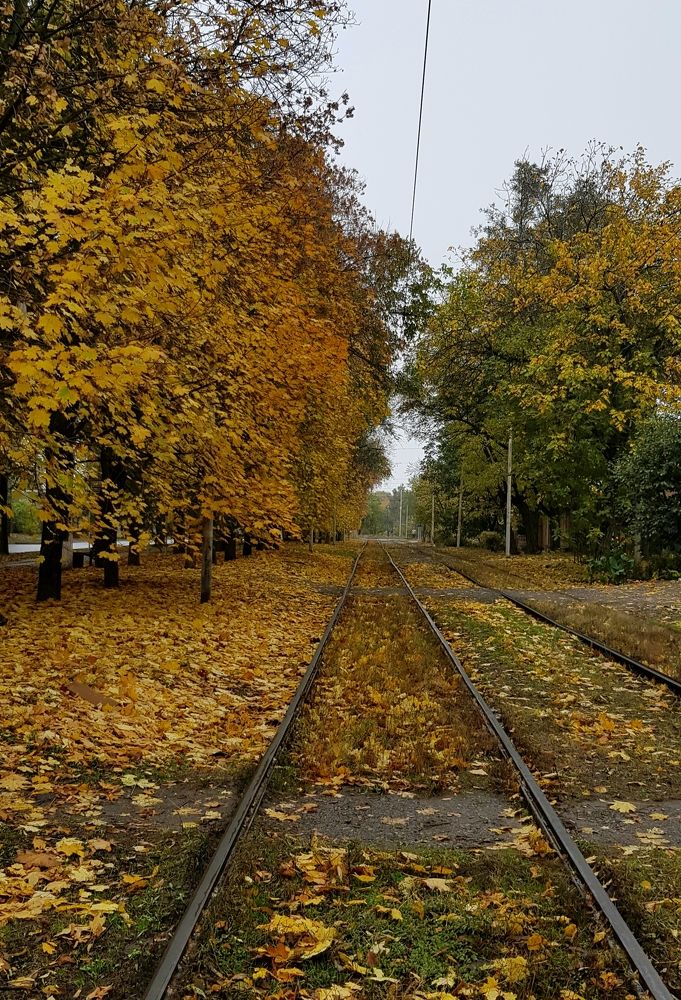 Photograph by Людмила Шатерникова