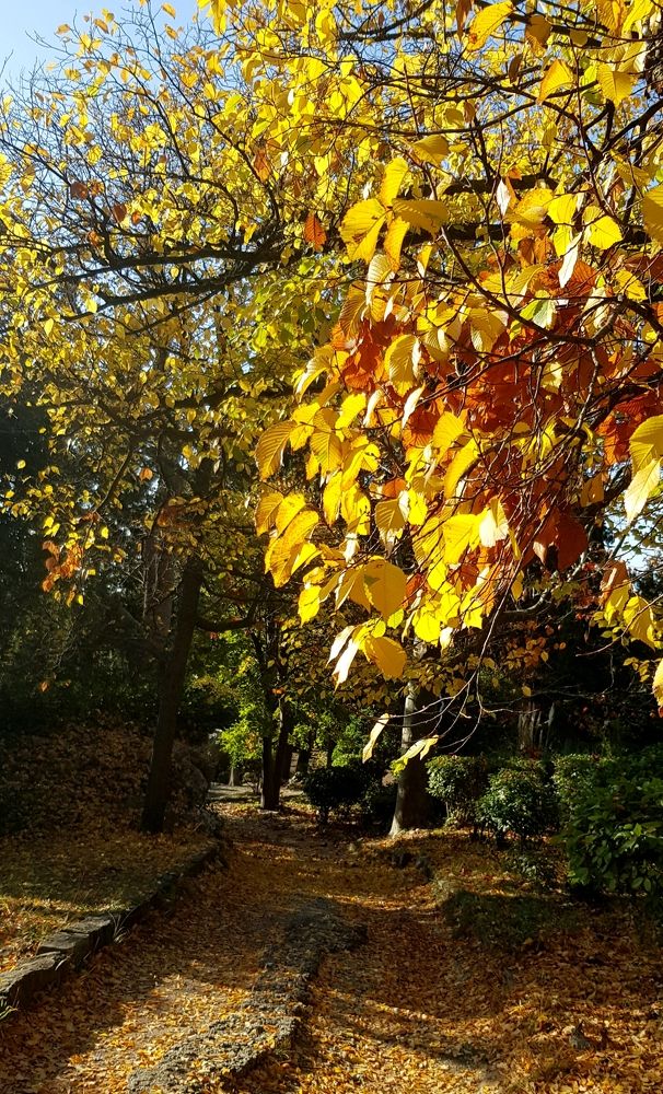 Photograph by Людмила Шатерникова