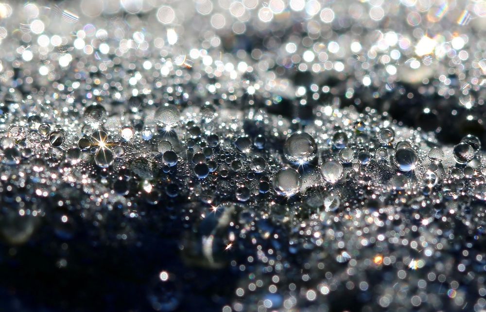 Photograph by Любовь Саханова