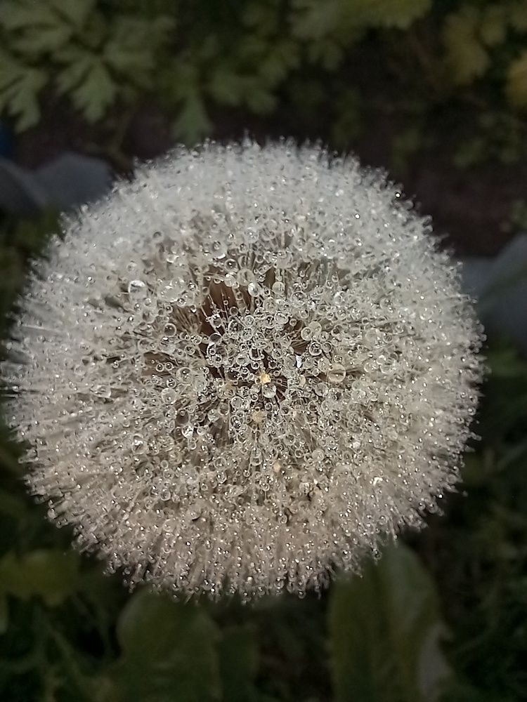 Photograph by Андрей Садчиков