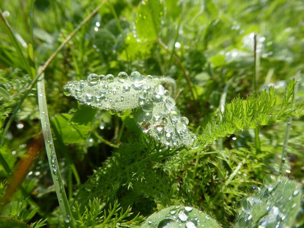 Photograph by Андрей Садчиков