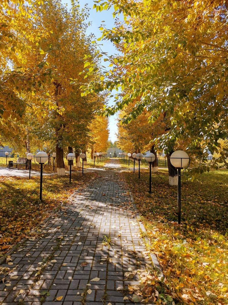 Фотография автора Юлия Лубкина