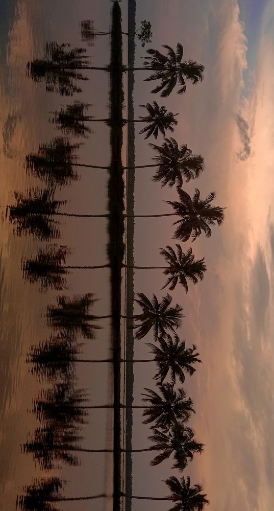 Photograph by S Nair Meenakshy