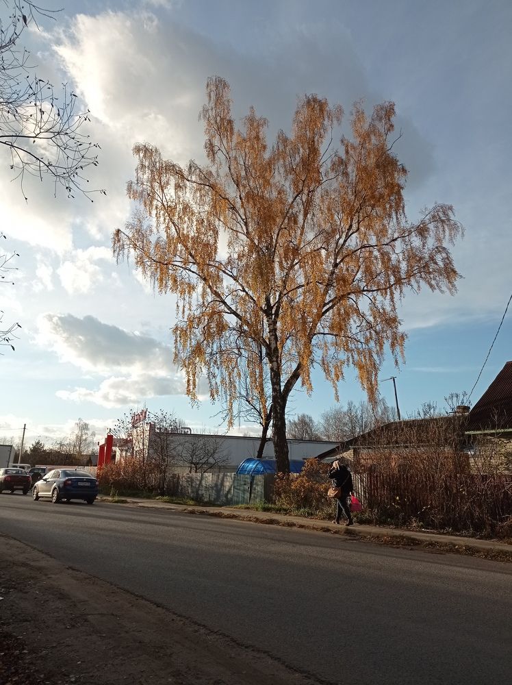 Photograph by Ирина Воробьева
